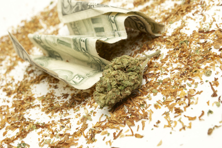 Marijuana and Cannabis on a White Backgroundの写真素材