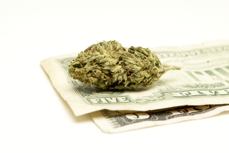 Marijuana and Cannabis on a White Backgroundの写真素材