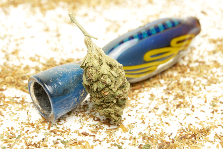 Marijuana and Cannabis on a White Backgroundの写真素材