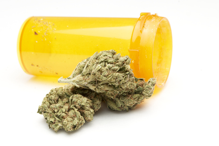 Marijuana and Cannabis on a White Backgroundの写真素材