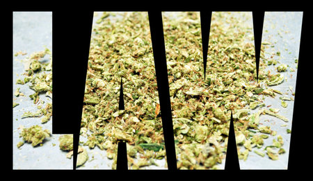 Marijuana and Cannabis Lawの写真素材