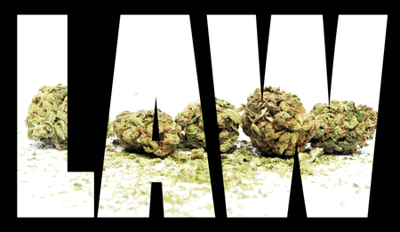 Marijuana and Cannabis Lawの写真素材