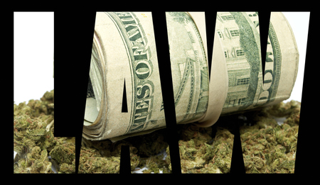 Marijuana and Cannabis Lawの写真素材