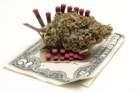 Marijuana and Cannabis on a White Backgroundの写真素材