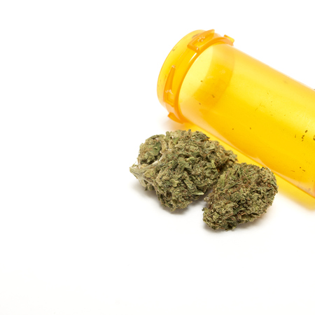 Marijuana and Cannabis on a White Backgroundの写真素材