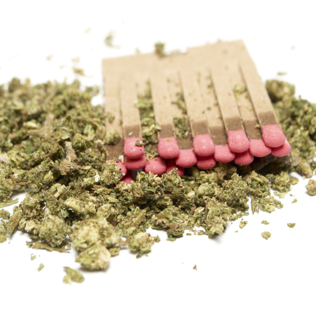Marijuana and Cannabis on a White Backgroundの写真素材