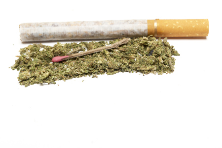 Marijuana and Cannabis on a White Backgroundの写真素材