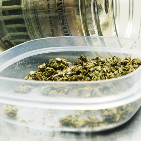 Legal Pot or Weed from the Buds of the Cannabis or Marijuana Plantsの写真素材