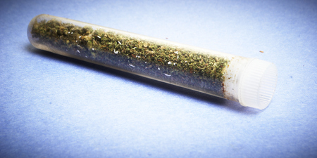 Legal Pot or Weed from the Buds of the Cannabis or Marijuana Plantsの写真素材