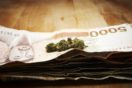 Marijuana and Cannabis Buds and Money, Drug Business American and Foreign Currencyの写真素材