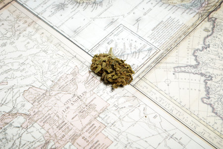 Marijuana and Cannabis