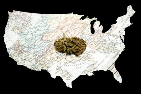 Marijuana and Cannabisの写真素材