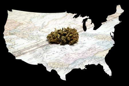 Marijuana and Cannabis