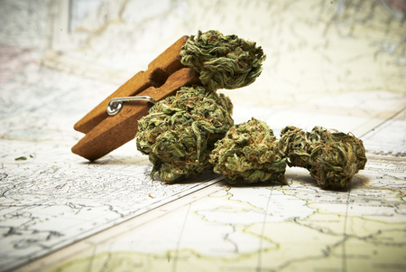 Marijuana and Cannabisの写真素材