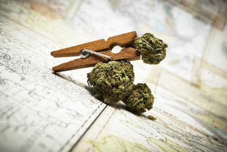 Marijuana and Cannabisの写真素材