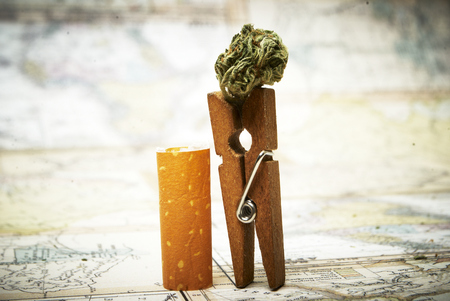 Marijuana and Cannabisの写真素材