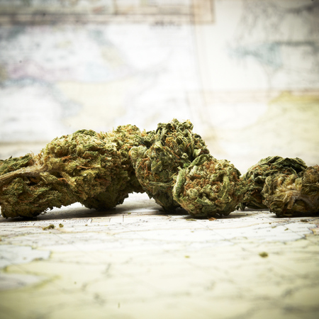 Marijuana and Cannabisの写真素材