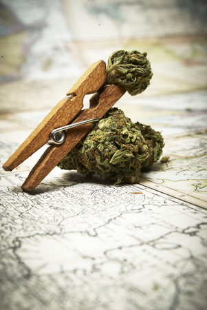 Marijuana and Cannabisの写真素材