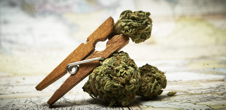 Marijuana and Cannabisの写真素材