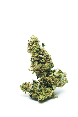 Marijuana and Cannabisの写真素材