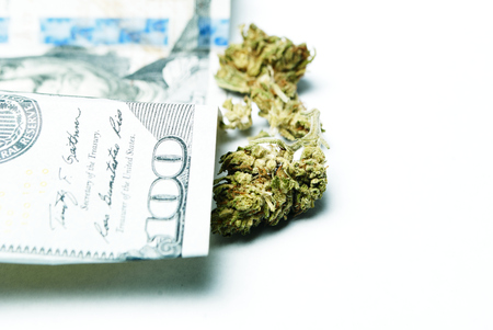 Marijuana and Cannabisの写真素材