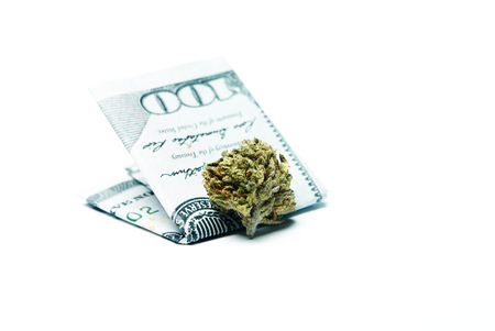 Marijuana and Cannabisの写真素材