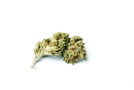 Marijuana and Cannabisの写真素材