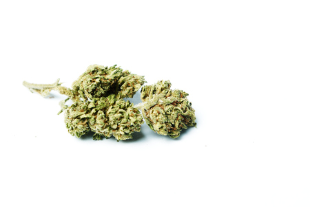 Marijuana and Cannabisの写真素材