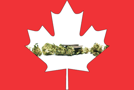 Marijuana and Cannabisの写真素材