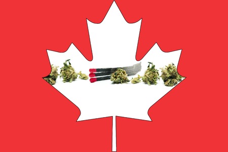 Marijuana and Cannabisの写真素材