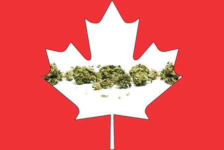 Marijuana and Cannabisの写真素材