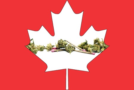 Marijuana and Cannabisの写真素材