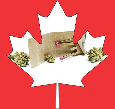 Marijuana and Cannabisの写真素材