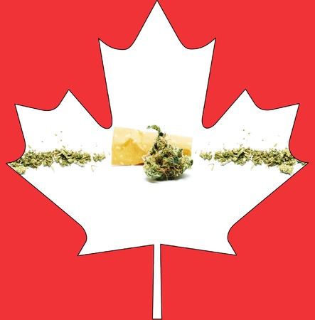 Marijuana and Cannabisの写真素材