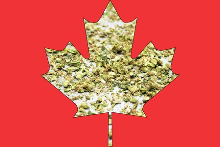 Marijuana and Cannabis の写真素材