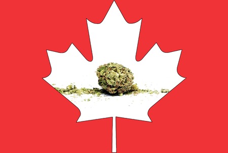 Marijuana and Cannabis の写真素材