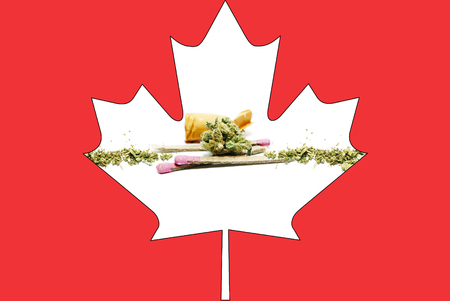 Marijuana and Cannabisの写真素材