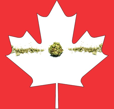 Marijuana and Cannabisの写真素材