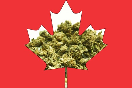 Weed, Medical Marijuana Grunge Detail and Backgroundの写真素材