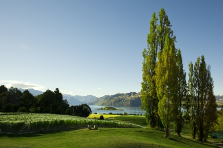 Winery looking over Lakeの写真素材