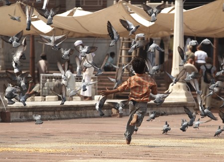 Boy running through group of pigeons turning them to flight. Friday Mosque, delhi, Indiaの写真素材