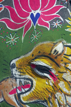 Close up of the face of a decorated elephant at the annual elephant festival in Jaipur, Indiaの写真素材