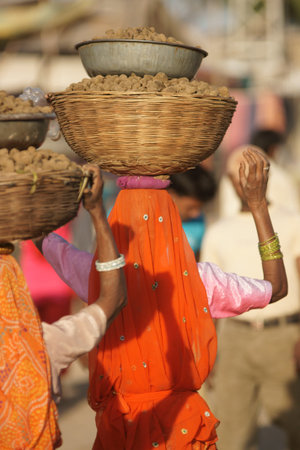 Indian lady carrying basket full of camel droppings on her head at the Pushkar fair Rajasthan India.の写真素材