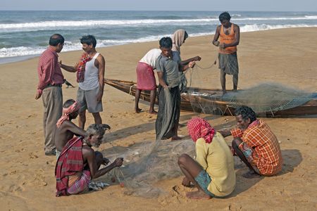 Puri, Orissa, India - May 14, 2008: Fishermen removing fish from their nets on a sandy beach in Puri, Orissa, India のeditorial素材