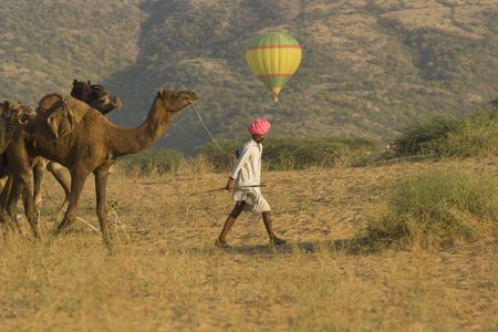Pushkar, India - November 7, 2008: Camel herder leading his camels across the desert at the Pushkar Fair. Hot air balloon in background. in Rajasthan India. のeditorial素材