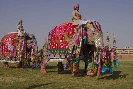 Jaipur, India - March 21, 2008: Decorated elephants on parade at the annual elephant festival in Jaipur, Indiaのeditorial素材