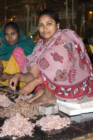 Calcutta, India - December 18, 2008: Indian women in brightly colored sari shelling prawns in the fish market in Kolkata (Calcutta), West Bengal, Indiaのeditorial素材