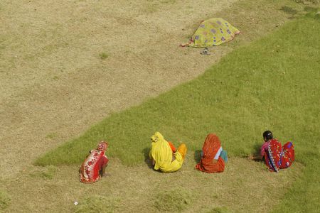 Agra, India - April 6, 2009:  Indian woman cut grass by hand at the Taj Mahal in Agra, Uttar pradesh, India.のeditorial素材