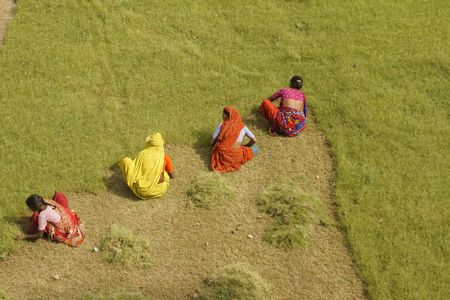 Agra, India - April 6, 2009:  Indian woman cut grass by hand at the Taj Mahal in Agra, Uttar pradesh, India.のeditorial素材