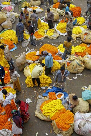 Calcutta, West Bengal, India - December 18, 2008: People buy and sell orange and yellow flowers and garlands at the flower market in Calcutta, West Bengal, India.のeditorial素材